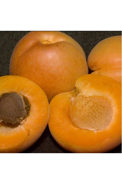 Ніжна помаранчева м’якоть плодів Флавор Делайт